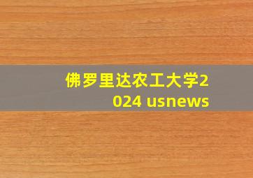 佛罗里达农工大学2024 usnews